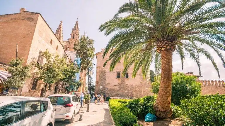 Les Meilleures Activités à Faire sur l’Île de Majorque : Un Séjour Inoubliable