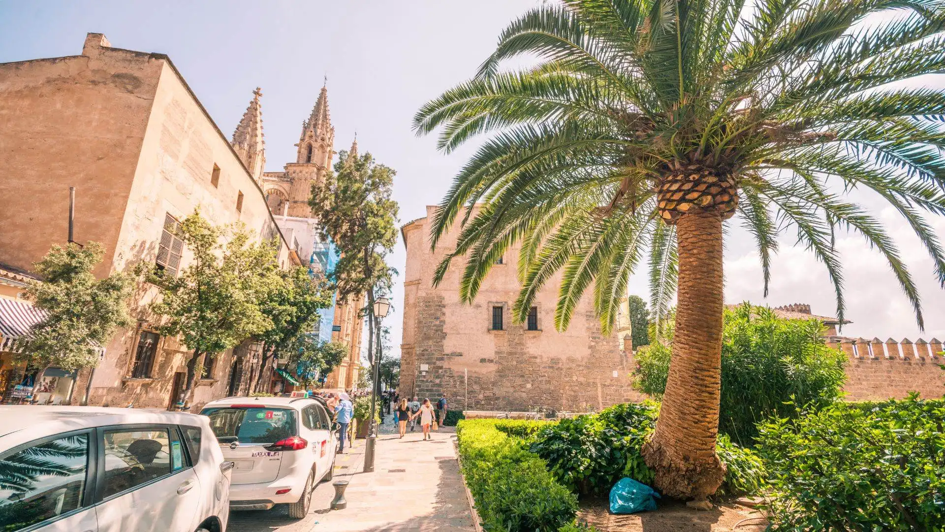 activité palma de majorque